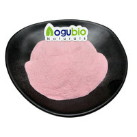 Extrait de fleur de cerisier pur de qualité alimentaire, poudre de cerisier, poudre de fleur de cerisier