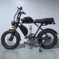 Lot d'usine 20 pouces vélo électrique motoneige plage pneu large Double batterie 48V moteur central moto à assistance électrique