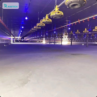 Système de ligne d'alimentation automatique pour volailles avec vis sans fin et mangeoires pour élevage commercial de poulets en poulailler