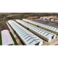 Structure en acier préfabriquée fournie par un fabricant chinois pour l'élevage de chèvres et de moutons, conception de hangar pour l'élevage d'animaux