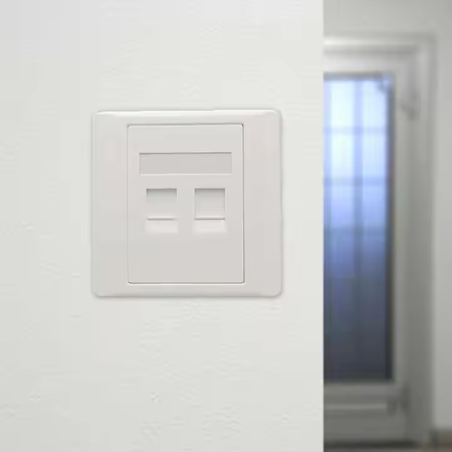 86 Type 2 Dual Rj45 White ABS Wall Faceplate Double Port for Wall Installations