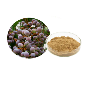 Extracto Natural Brillante de Fruta de Ligustro 10:1, Extracto de <span class=keywords><strong>Ligustrum</strong></span> 20:1 - Product Image 1