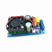 HIFI Power IRS2092 500W carte amplificateur de puissance numérique Mono canal carte amplificateur de puissance scène classe D