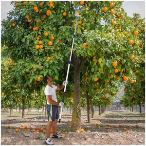 Outil de cueillette <span class=keywords><strong>télescopique</strong></span> réglable en métal pour fruits, hauteur de portée de 9 mètres, pour usage en jardin - Product Image 4