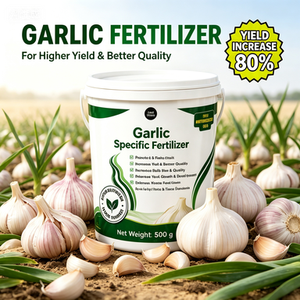 <span class=keywords><strong>Engrais</strong></span> en poudre NPK Premium pour l'ail 500g, enrichi en Calcium et Zinc, à libération rapide, améliore la qualité des bulbes, améliore le goût, améliore la conservation, renforce - Product Image 6