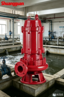Pompe submersible pour eaux usées Shuangguan haute efficacité 5,5 kW-45 kW, 4 pôles, 6 pôles, WQ, haute levée, étanche IP68, personnalisable