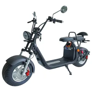 Electric Scooter For Adult EEC Citycoco 2000w European Holland Warehouse