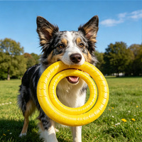 Anneau à mâcher en mousse EVA pour animaux de compagnie, jouet sûr et non toxique pour chiot et chien adulte, jeu interactif intérieur/extérieur