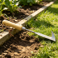 Outil de désherbage pour jardinage, désherbeur multifonctionnel pour cour et jardin, coupe-herbe pour les crevasses et les espaces entre les pierres