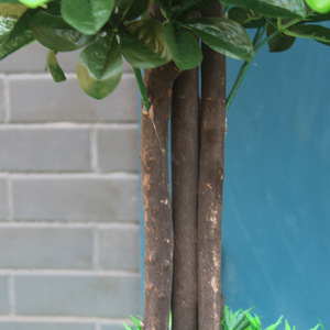 2023 nouvelle plante artificielle en pot décoration intérieure faux <span class=keywords><strong>arbre</strong></span> <span class=keywords><strong>fruitier</strong></span> 1.5 mètre poteau en bois <span class=keywords><strong>Kumquat</strong></span> Mandarin - Product Image 3