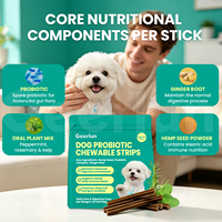 Suppléments pour animaux de compagnie en gros OEM avec gingembre pour nettoyer les dents, rafraîchir l'haleine et favoriser la digestion – Bandes à mâcher probiotiques pour chiens