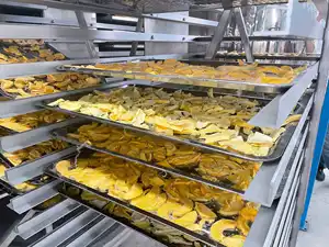 Máy Sấy Đông Khô Công Nghiệp <span class=keywords><strong>CE</strong></span> Máy Sấy Đông Khô Thực Phẩm Trái Cây Và Rau Quả Giá Máy Sấy Đông Khô - Product Image 5