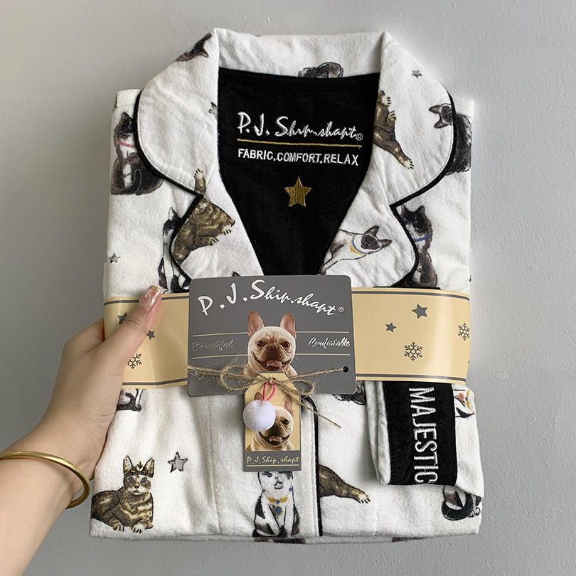 Cats on a white background