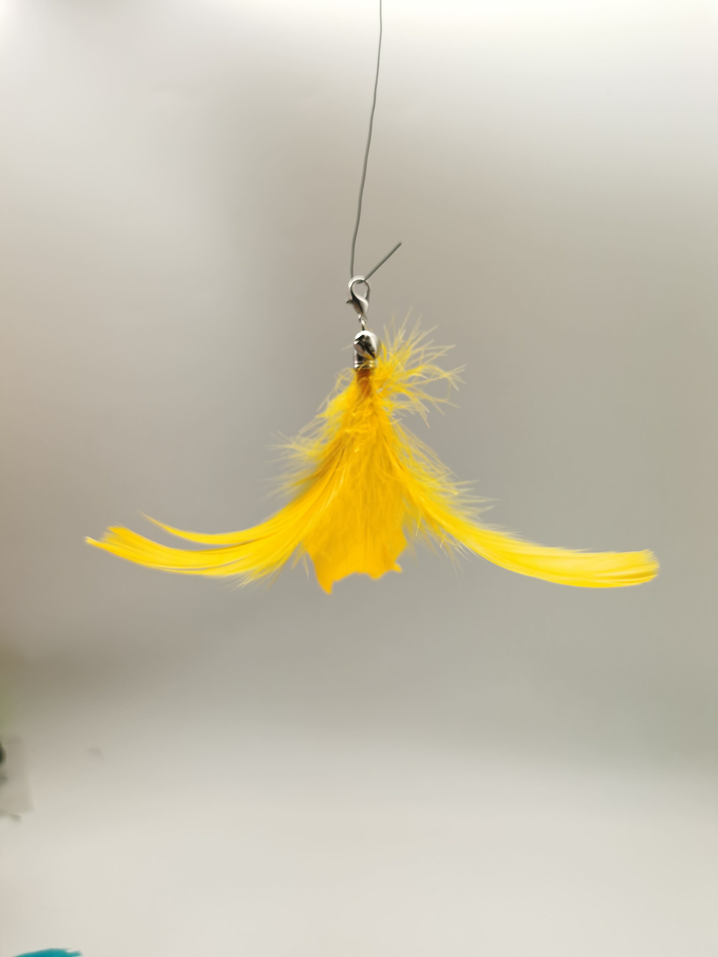 White replacement head