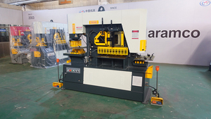 Serie HS Q35Y-50 250t CNC ferronnier hydraulique de l'usine Daramco en Chine fabriqué par des experts - Product Image 2