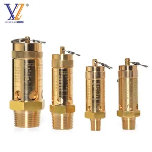 Spring Type Copper Safety Valve High Pressure A28X-16T Brass Relief Valve 8bar/13bar/16bar For Screw Air Compressor