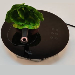 2025 nueva cocina de cerámica de vidrio redonda con encimera infrarroja especial de forma ovalada de un solo quemador - Product Image 6