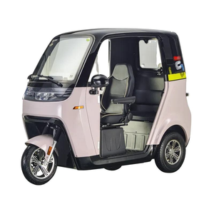 Triciclo Eléctrico de Tres Ruedas de Nueva Energía de 1500W con Certificació<span class=keywords><strong>n</strong></span> EEC <span class=keywords><strong>COC</strong></span> - Product Image 2