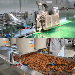 Machine de traitement de revêtement de sucre de noisettes La machine de friture fragile d'arachide fabrique la chaîne de production de noix ambre - Product Image 5