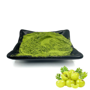 Thé Matcha Aromatisé aux Fruits en Emballage Écologique Tendance – Achetez en Gros de la Poudre de Matcha Premium Saveur <span class=keywords><strong>Groseille</strong></span> Culinair - Product Image 1