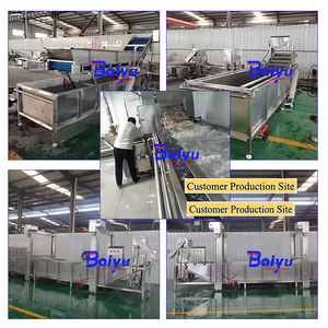 Les machines de décongélation automatiques Baiyu conviennent à la décongélation des produits de volaille, des produits de la mer et des produits carnés. - Product Image 4