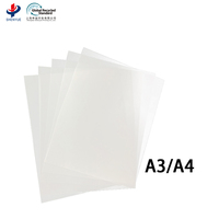 Rouleaux de film PET DTF à haute transfertabilité, mat, 30/60 cm, A3, pour vêtements, film de transfert thermique, matériau d'impression par transfert thermique pour vêtements