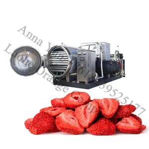 lyophilizer freeze drying machine for freeze dried garlic green beans ginger onions mushrooms