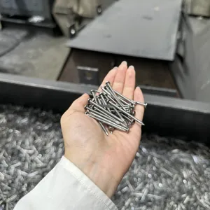 Fabrika fabrika için cilalı galvanizli normal tel çivi tedarik
