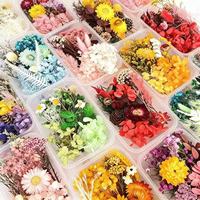 Boîte de fleurs séchées préservées pour l'art de la résine DIY, ensemble de matériaux en vrac multicolores faits à la main pour la fête des mères