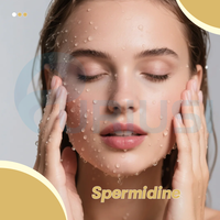 Capsules antioxydantes, complément de spermidine, spermidine, ginsénoside, extrait de fruit d'olivier, PQQ, dihydroquercétine, capsules de spermidine