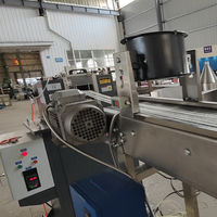 Ligne de granulation de plastique d'amidon de manioc PLA PBAT + amidon de maïs mélangeant la machine d'extrusion de granulation