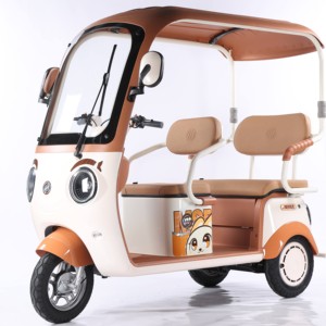 Pedicab Tricycle Scooter 60V Lead-Acid Battery 3 Speed 3 <b>Wheels</b> Carbon Steel Passenger Outdoor Use Brushless - Product Image 4
