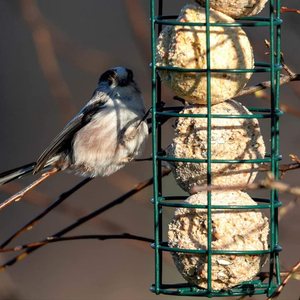 Кормушка для птиц - Product Image 6