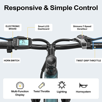 Vélo Électrique Aairsk GT300 à Assistance Pédalage, Batterie Lithium 36V 400W, Moteur Arrière, Idéal Ville et Loisirs, Robuste et Économique