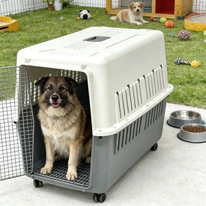 Kandang Anjing & Kucing Kapasitas Besar untuk Luar Ruangan, Disetujui IATA, dengan Bahan PP, Desain Bernapas, Pegangan Portabel & Roda - Product Image 2