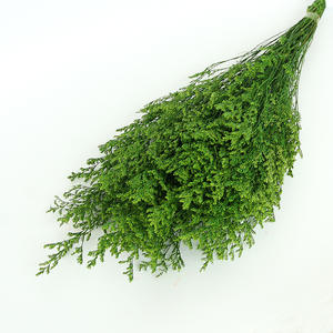 ดอกไม้แห้งขายส่ง หญ้าวาเลนไทน์ฟอกขาวธรรมชาติ ลิโมเนียมสีขาวคงสภาพ - Product Image 1