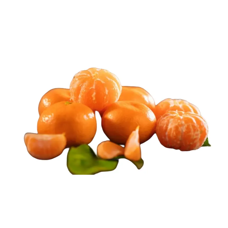 China Laranja plantio base citrinos frescos Laranja mandarim fresco/frutas frescas/laranja