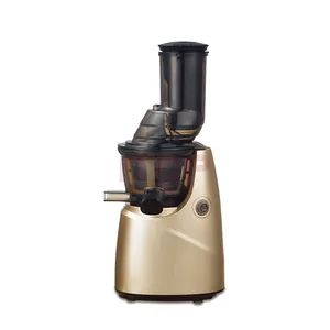 Exprimidor de frutas silencioso multifunción, Extractor de zumo lento de 220 ML, 800 V/50Hz