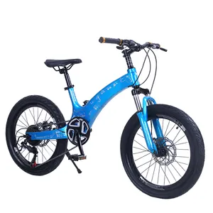 20 Inch Girl Boy Mountain Bike Cycle For Child/MTB Bicycle Toy For Children / Magnesium Alloy Bronze Sticker Kids Mountain Bike