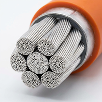 Câble de recharge pour véhicules électriques PrimePro 500A à refroidissement liquide |   Charge haute puissance (HPC) 1000V DC |   Fil de suralimentation ultra-flexible |   Spécifications CCS