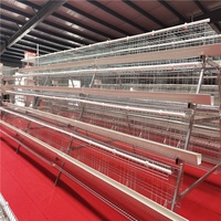 Cages à poules pondeuses automatiques de type A en acier galvanisé à chaud certifiées ISO9001 pour l'élevage de poulets