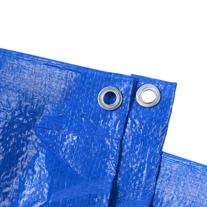 Bâche en PE imperméable de style simple, poids moyen, prix bas en Chine, pour la couverture de toiture, la tente, en vente - Product Image 6
