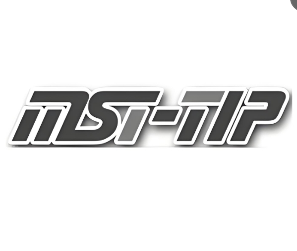 Shandong Maisite Packaging Co., Ltd. logo