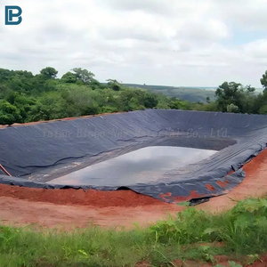 Chất Lượng Cao 0.5Mm Ldpe Màng Đất Ao Lót Không Thấm Nước Nhà Máy Chịu Mài Mòn Cho Cá Ao Trang Trại Đường Hầm <span class=keywords><strong>HDPE</strong></span> Mô Hình 1Mm PVC EPDM - Product Image 1