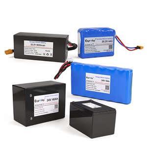 Batterie au lithium LiFePO4 24V 19.2V 40Ah 25.6V 45Ah pour éclairage solaire, robot AGV, trottinette électrique – Vente en gros - Product Image 4
