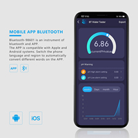 Nouvelle application intelligente Bluetooth affichage compteur de test de qualité de l'eau température domestique ph 2 en 1 stylo de test