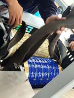 Moules à rouleaux rotatifs sur mesure Skywin pour ligne de production automatique de biscuits