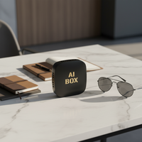 Boîte AI Mini GPS Android Portable sans Fil CarPlay Android Auto 5G WiFi Carte TF/USB Plug&Play Garantie 1 An Toutes les Applications Netflix/YouTube
