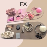 Kit de Yoga et Pilates Professionnel FX avec Logo Personnalisé : Anneau de Pilates, Ballon, Lest de Cheville, Bandes de Résistance en Tissu et Ballon de Yoga