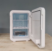 Réfrigérateur cosmétique portable de 10 L prêt pour les camping-cars, faible bruit, économe en énergie, avec design en marbre, couleur rose personnalisée